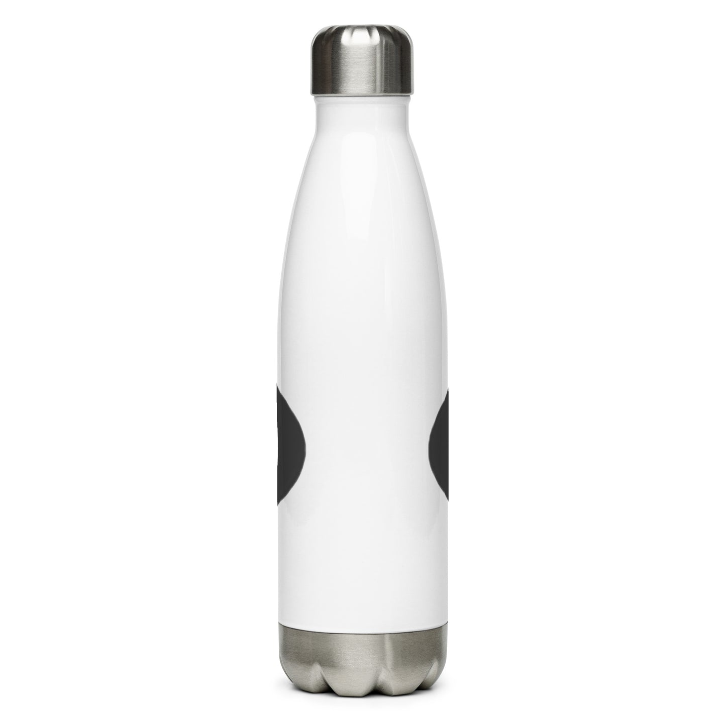 Stainless steel water bottle